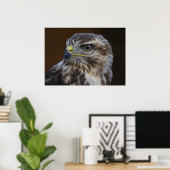 Poster Buteo buteo (Bureau à domicile)