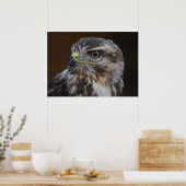 Poster Buteo buteo (Cuisine)