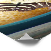 Poster butterflies (Coin)