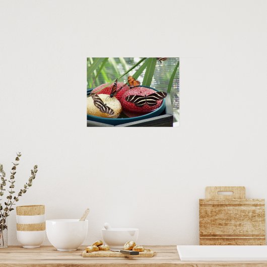 Poster butterflies (Cuisine)