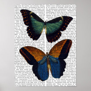 Poster Butterflies 5