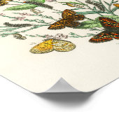 Poster Butterflies and Flowers Vintage Illustration 1 (Coin)