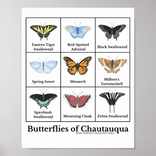Poster Butterflies of Chautauqua (Devant)