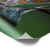 Poster Butterfly (Coin)