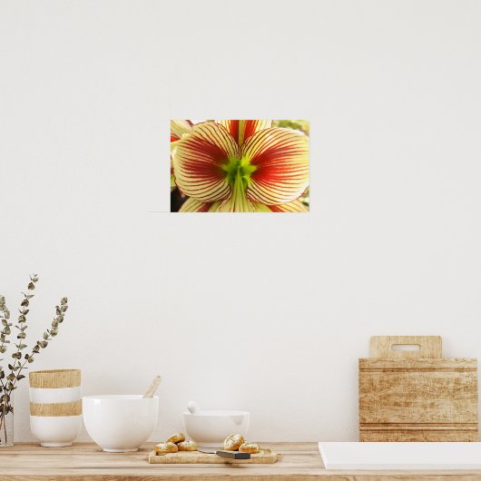 Poster Butterfly Amaryllis (Cuisine)