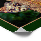 Poster Butterfly Brown Gros plan Nature Abstraite (Coin)