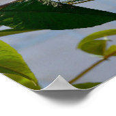 Poster Butterfly Bush, Vieille ville danoise, Aarhus, Dan (Coin)