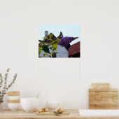 Poster Butterfly Bush, Vieille ville danoise, Aarhus, Dan (Cuisine)