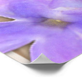 Poster Butterfly Garden 3D Whimsey (Coin)