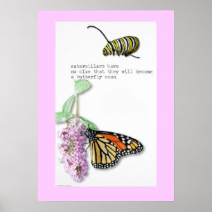 Poster Butterfly Haiku