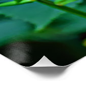 Poster Butterfly in Bloom (Coin)