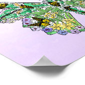 Poster Butterfly life cycle (Coin)