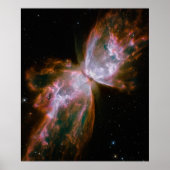 Poster Butterfly Nebula (Devant)