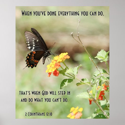 Poster Butterfly on Wildfllowers, w Corinthians Verse (Devant)