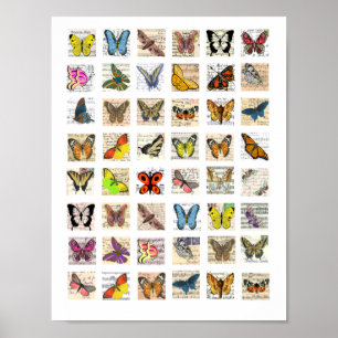 Poster Butterfly Vintage Postcard art Collage sheet