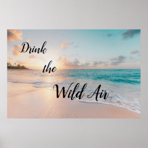 Poster Buvez l'affiche Wild Air