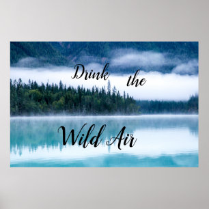 Poster Buvez l'affiche Wild Air