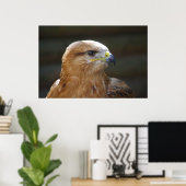Poster Buzzard à pattes longues (Bureau à domicile)