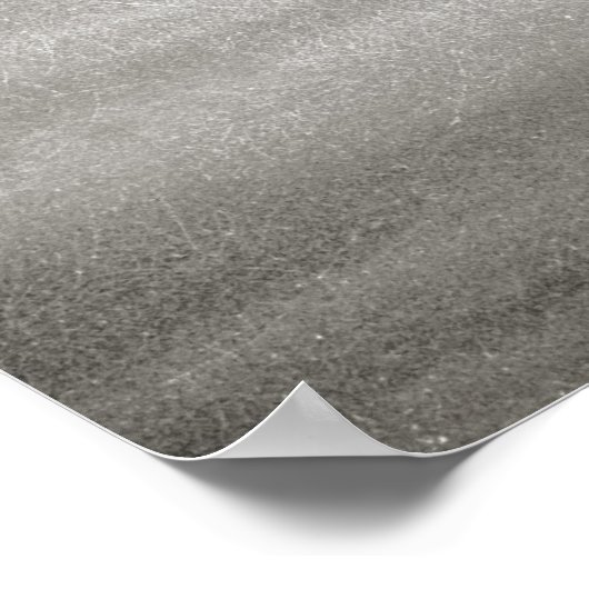 Poster BW Galloping Horse (Coin)