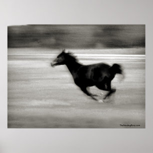 Poster BW Galloping Horse