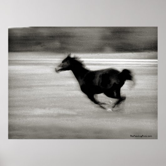 Poster BW Galloping Horse (Devant)