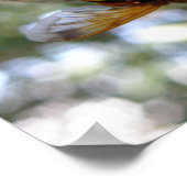 Poster Bye Bye Hoverfly (Coin)