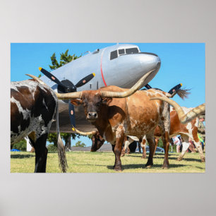 Poster C-47 Skytrain au Texas