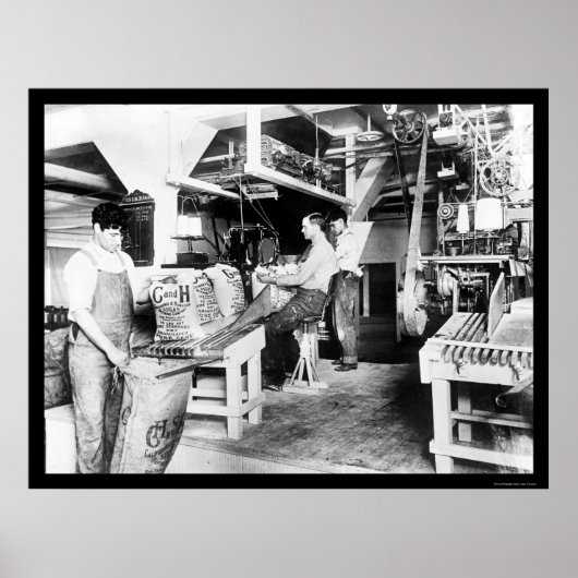 Poster C & H Traitement du sucre 1914 (Devant)