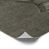 Poster C. Julius Caesar (100-44 BC) Empereur de Rome (Coin)