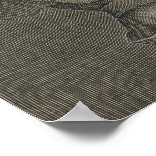 Poster C. Julius Caesar (100-44 BC) Empereur de Rome (Coin)