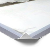 Poster C. S. Lewis et les Chouettes (Coin)