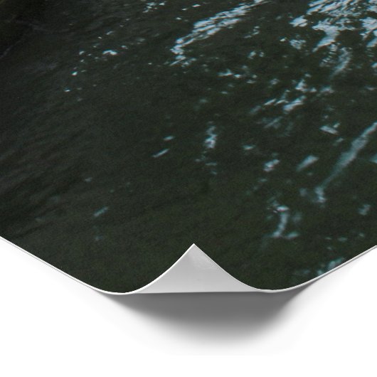 Poster Ca' Pesaro (Coin)