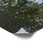 Poster CA, Yosemite NP, El Capitan reflété dans Merced (Coin)