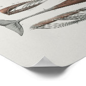 Poster CaaPilot Anatomie de baleines Imprimer Biologie ma (Coin)