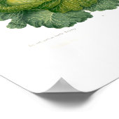 Poster Cabages (Coin)