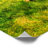 Poster Cabine (Coin)