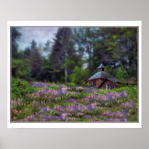 Poster Cabine dans l'affiche Lupine