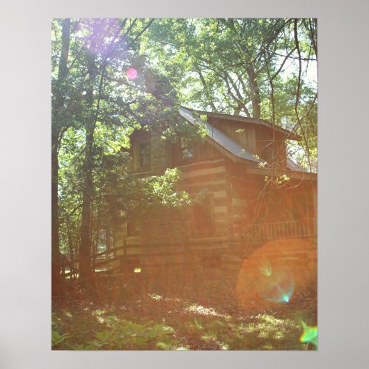 Poster Cabine dans les bois (Devant)
