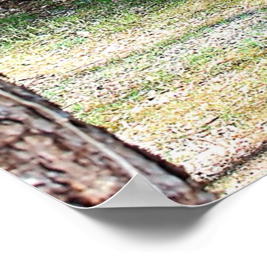 Poster Cabine de journal (Coin)