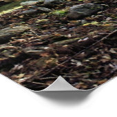 Poster Cabine de journal rustique (Coin)