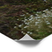 Poster Cabine de paix (Coin)