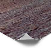 Poster Cabine d'équipage de la chevalière de piste Silver (Coin)