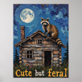 Poster Cabine Dweller : Une perche nocturne de Raccoon (Devant)