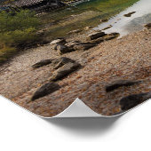 Poster Cabine le long du lac Bohinj en Slovénie (Coin)