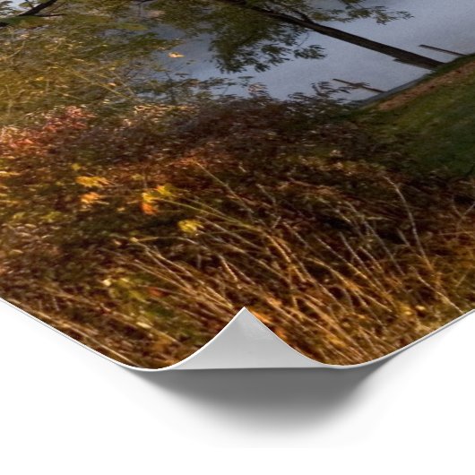 Poster Cabine rustique (Coin)