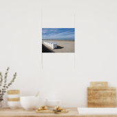 Poster Cabines de plage à Fort Mahon en France (Cuisine)