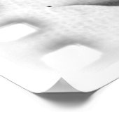 Poster Cabinet du Dr Caligari (Coin)