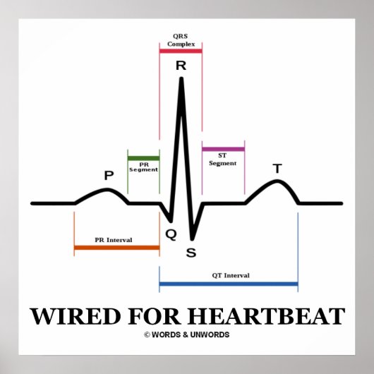 Poster Câblé Pour L'Électrocardiogramme De Coeur (ECG / E (Devant)