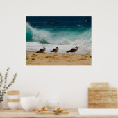 Poster Cabo Seagull 2 (Cuisine)