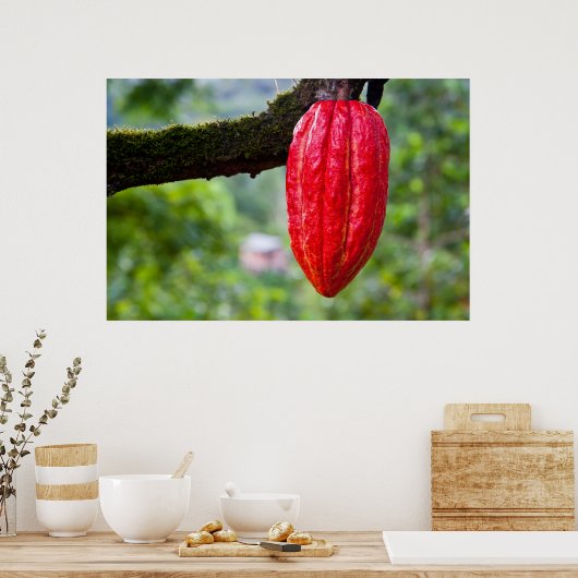 Poster cabosse rouge (Cuisine)